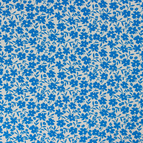 20240611-IMG_7800(1)_compressed