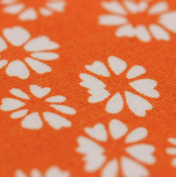 20240627-IMG_8094(1)